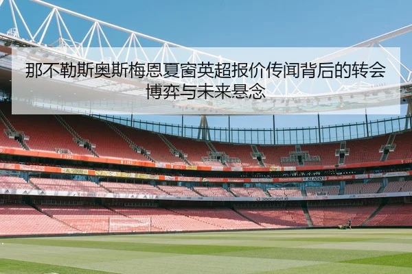 那不勒斯奥斯梅恩夏窗英超报价传闻背后的转会博弈与未来悬念
