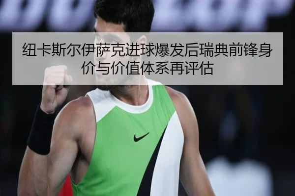 纽卡斯尔伊萨克进球爆发后瑞典前锋身价与价值体系再评估