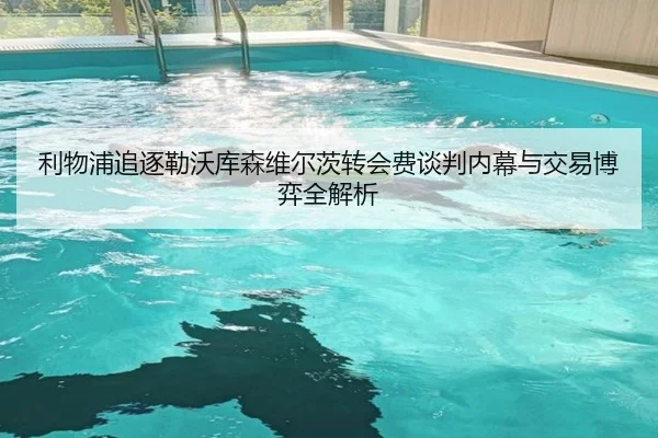 利物浦追逐勒沃库森维尔茨转会费谈判内幕与交易博弈全解析