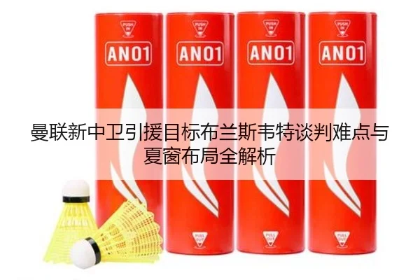 曼联新中卫引援目标布兰斯韦特谈判难点与夏窗布局全解析