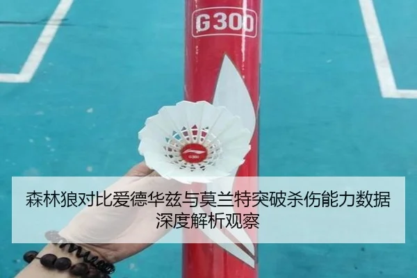 森林狼对比爱德华兹与莫兰特突破杀伤能力数据深度解析观察